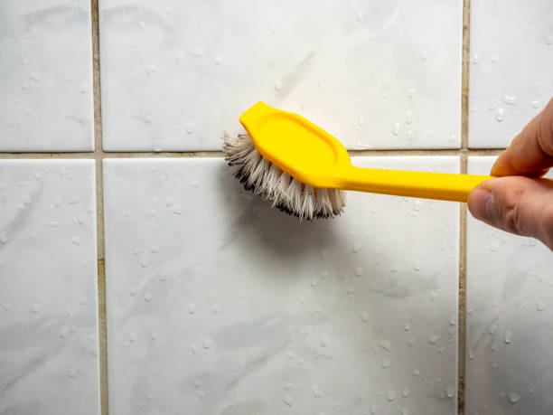 Best White Mold Remediation in Lodi, NJ